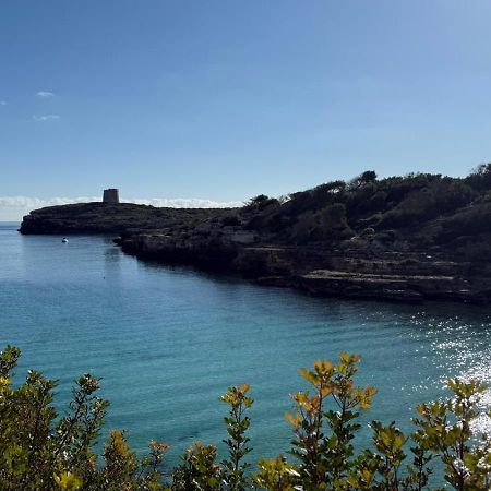 La Calma Espectacular Villa Con Jardin Y Piscina En Menorca С'Алгар Екстериор снимка