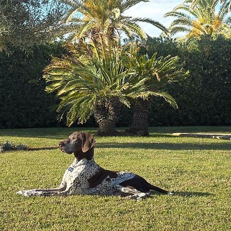 La Calma Espectacular Villa Con Jardin Y Piscina En Menorca С'Алгар Екстериор снимка
